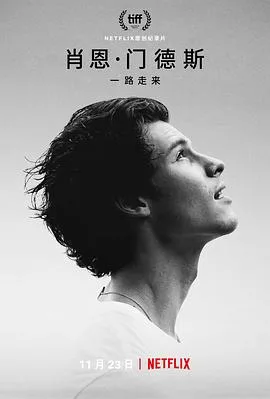 肖恩门德斯:一路走来
