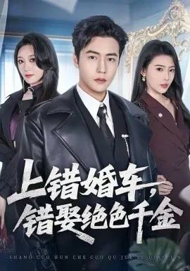 上错婚车，错娶绝色千金